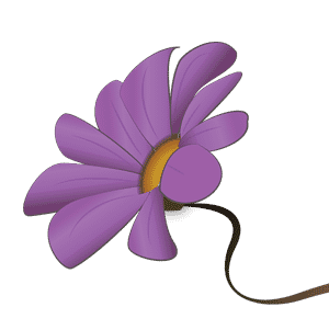 florist-comoxvalleylogo