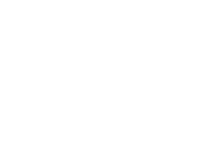 webartist-signature