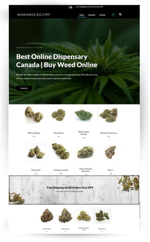 vancouver-island-website-designers